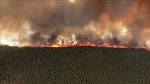 Wildfire Rages in Ocean County. Evacuations Ordered